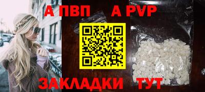ECSTASY Гатчина