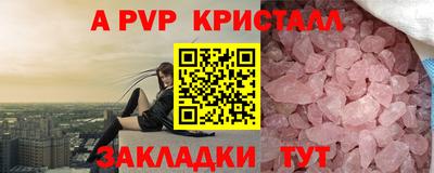 ECSTASY Гатчина