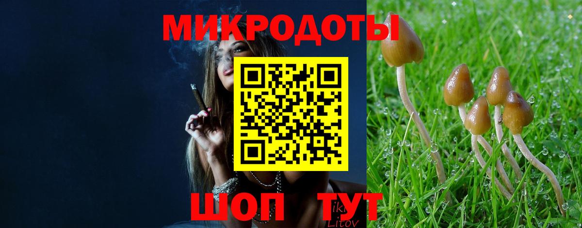 Псилоцибиновые грибы GOLDEN TEACHER  Галлюциногенные грибы ЛСД  Медногорск  Вход с VPN 